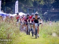 IMG_2317 IMG_2317